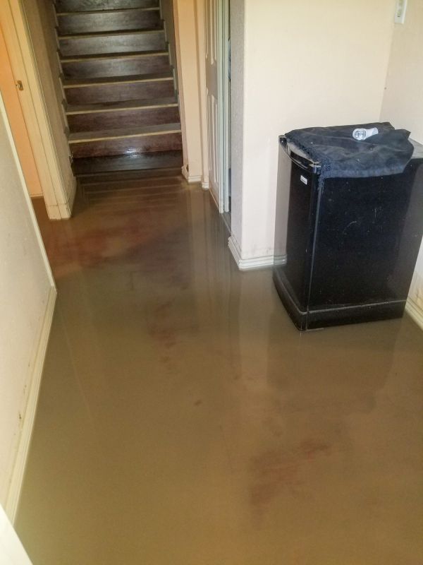 Basement Water Cleanup Service