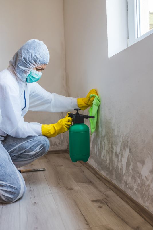 Basement Drying in Mesa, AZ