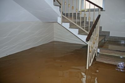 Basement Drying in Chandler, AZ