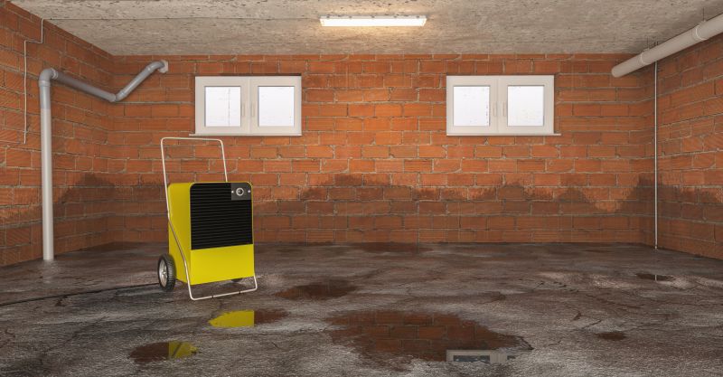 Basement Restoration Service in Gilbert, AZ