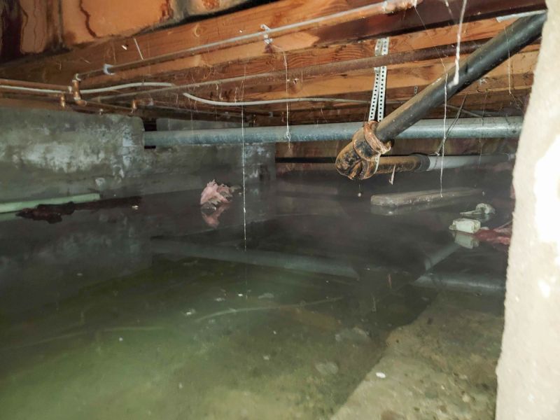 Water Damage Assessment