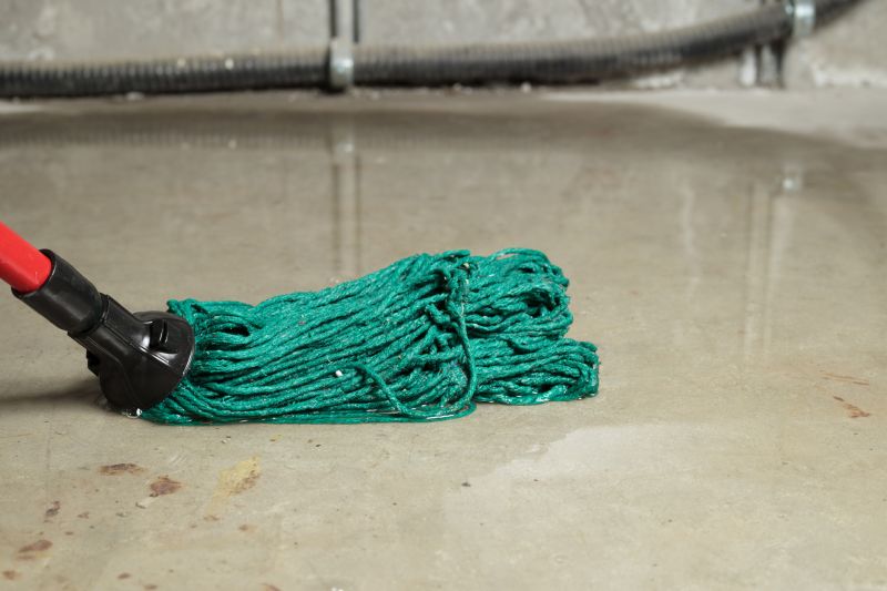 Flood Cleanup Service in Phoenix, AZ