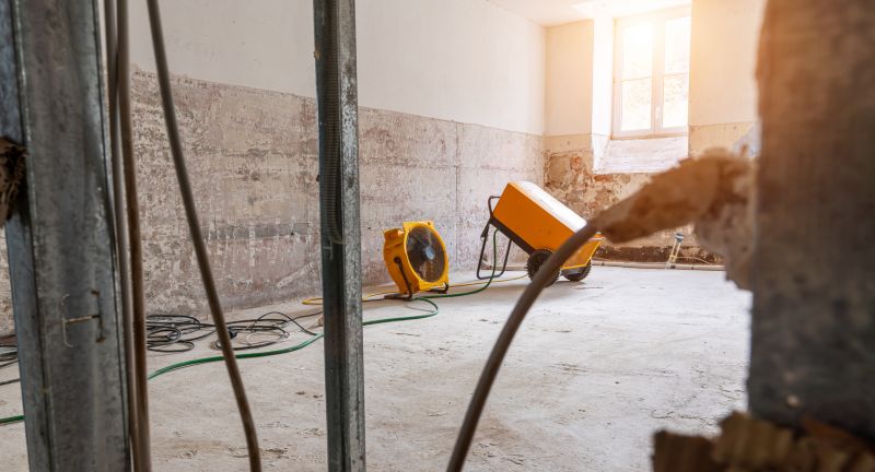 Moisture Removal Service in Mesa, AZ