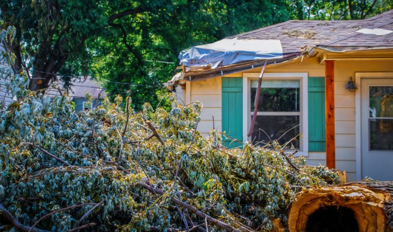 Roof Storm Damage Remediation in Olathe, KS