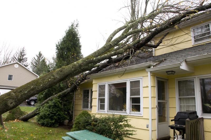 Storm Damage Cleanup in Gilbert, AZ