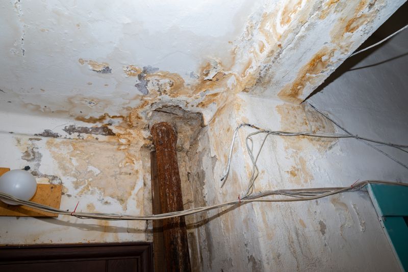 Water Damage Cleanup in Phoenix, AZ