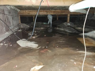 Water Removal Service in Mesa, AZ