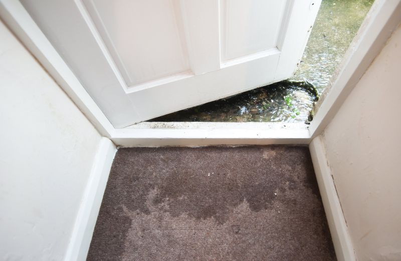 Wet Carpet Restoration in Gilbert, AZ