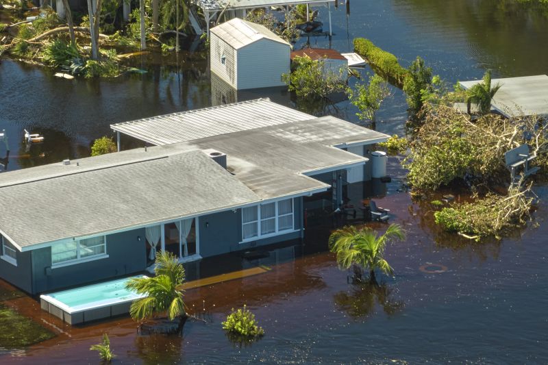 Storm Damage Mitigation in Chandler, AZ