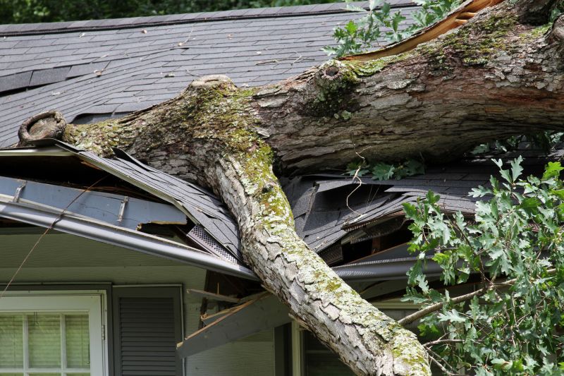 Storm Damage Mitigation in Gilbert, AZ