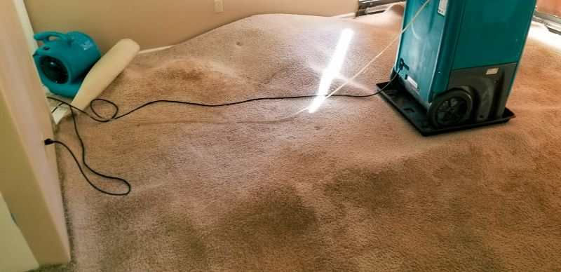 Water Extraction Service in Mesa, AZ